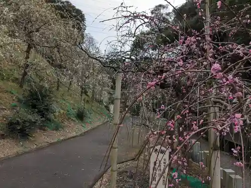 大縣神社(愛知県)