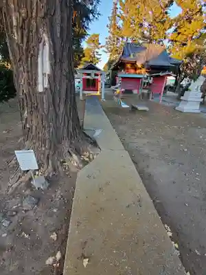 子神社のその他建物