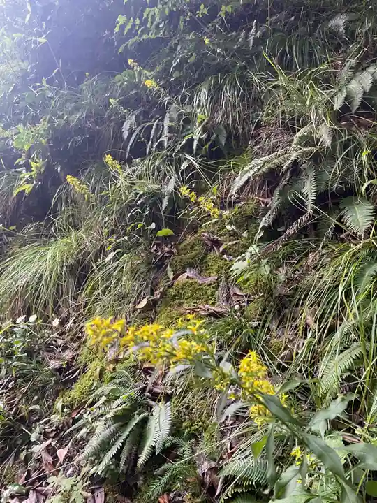 国上寺(新潟県)