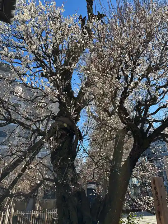 光源寺(東京都)