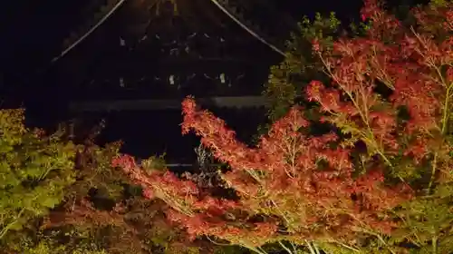 妙覺寺（妙覚寺）の庭園