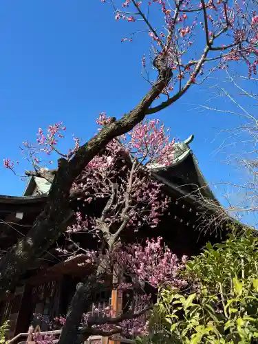 桜神宮の{uncategorized: "未分類", other: "その他", undefined: "問題あり", building: "その他建物", grave: "お墓", sacred_gate: "鳥居", guardian: "狛犬", statue: "像", buddha: "仏像", history: "歴史", nature: "自然", garden: "庭園", animal: "動物", pagoda: "塔", temizu: "手水舎", mountain_gate: "山門・神門", sanctuary: "本殿・本堂", subordinate: "末社・摂社", art: "芸術", scenery: "景色", jizo: "地蔵", ema: "絵馬", goshuin: "御朱印", omikuji: "おみくじ", items: "授与品その他", amulet: "お守り", goshuincho: "御朱印帳", eats: "食事", festival: "お祭り", votive_dance: "神楽", shichigosan: "七五三参", wedding: "結婚式", experience: "体験その他", initially: "初詣", around: "周辺", anti_infection: "感染症対策"}