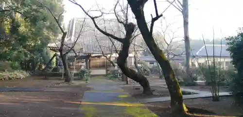 阿弥陀寺の庭園