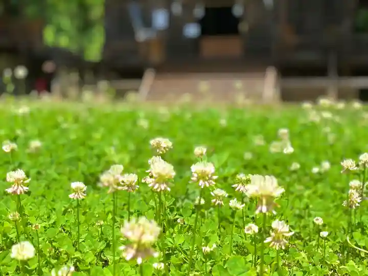 子檀嶺神社の自然