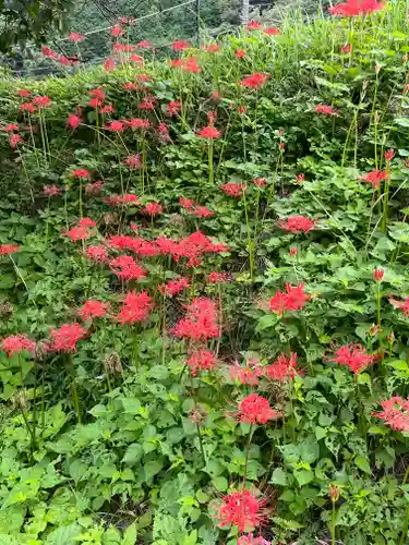 宝城坊(神奈川県)