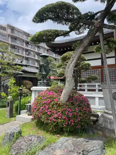 惠明寺(東京都)