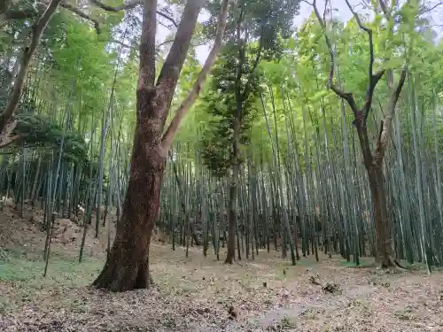 石清水八幡宮の{uncategorized: "未分類", other: "その他", undefined: "問題あり", building: "その他建物", grave: "お墓", sacred_gate: "鳥居", guardian: "狛犬", statue: "像", buddha: "仏像", history: "歴史", nature: "自然", garden: "庭園", animal: "動物", pagoda: "塔", temizu: "手水舎", mountain_gate: "山門・神門", sanctuary: "本殿・本堂", subordinate: "末社・摂社", art: "芸術", scenery: "景色", jizo: "地蔵", ema: "絵馬", goshuin: "御朱印", omikuji: "おみくじ", items: "授与品その他", amulet: "お守り", goshuincho: "御朱印帳", eats: "食事", festival: "お祭り", votive_dance: "神楽", shichigosan: "七五三参", wedding: "結婚式", experience: "体験その他", initially: "初詣", around: "周辺", anti_infection: "感染症対策"}