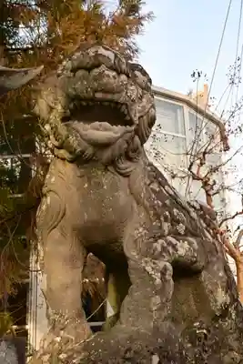 椙本神社(高知県)