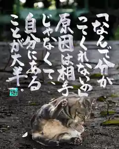 専念寺(大阪府)(2022年10月08日(土) 19時00分28秒投稿)