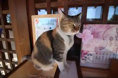 前玉神社の動物