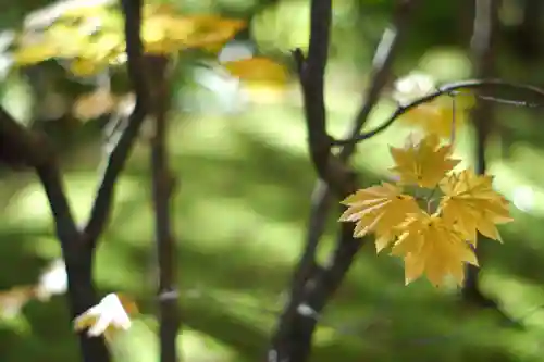 禅林寺（永観堂）(京都府)