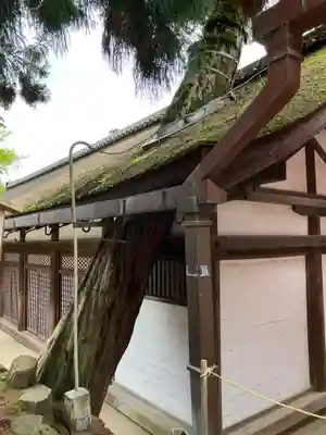 春日大社(奈良県)