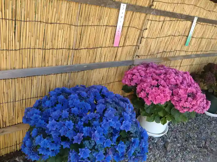 補陀寺(愛知県)