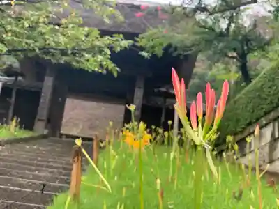 横浜　西方寺(神奈川県)