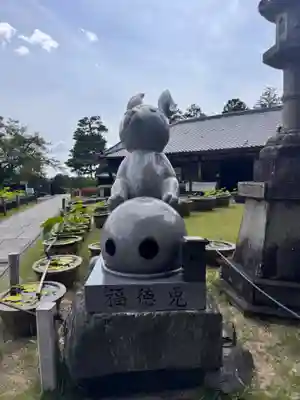 三室戸寺(京都府)