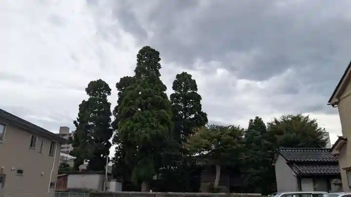 越中白山総社の景色