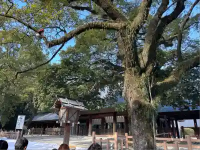 熱田神宮(愛知県)