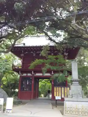 本土寺の山門・神門