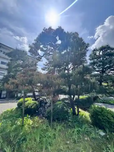 得浄明院（善光寺別院）の{uncategorized: "未分類", other: "その他", undefined: "問題あり", building: "その他建物", grave: "お墓", sacred_gate: "鳥居", guardian: "狛犬", statue: "像", buddha: "仏像", history: "歴史", nature: "自然", garden: "庭園", animal: "動物", pagoda: "塔", temizu: "手水舎", mountain_gate: "山門・神門", sanctuary: "本殿・本堂", subordinate: "末社・摂社", art: "芸術", scenery: "景色", jizo: "地蔵", ema: "絵馬", goshuin: "御朱印", omikuji: "おみくじ", items: "授与品その他", amulet: "お守り", goshuincho: "御朱印帳", eats: "食事", festival: "お祭り", votive_dance: "神楽", shichigosan: "七五三参", wedding: "結婚式", experience: "体験その他", initially: "初詣", around: "周辺", anti_infection: "感染症対策"}