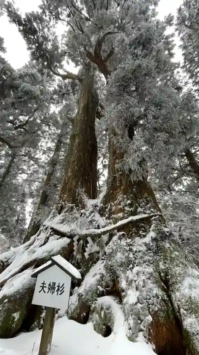 葛木神社の自然