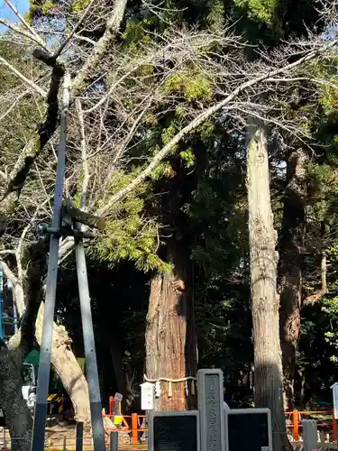 息栖神社(茨城県)