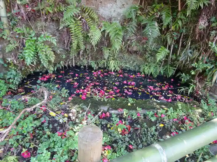 白笹稲荷神社の自然