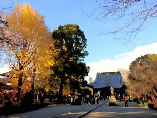 鑁阿寺の本殿