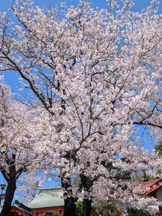 淡島社(神奈川県)