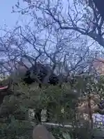 牛天神北野神社(東京都)