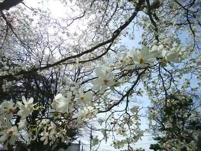 厚別神社(北海道)