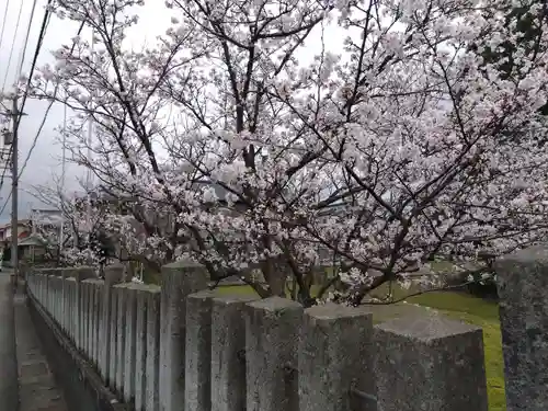 日吉神社(福井県)