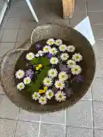 美瑛神社の手水舎