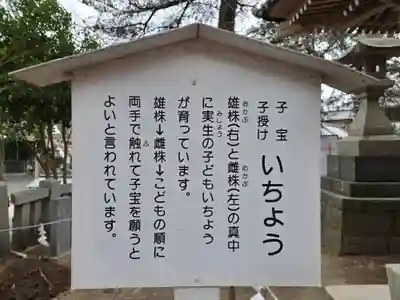 玉前神社(千葉県)