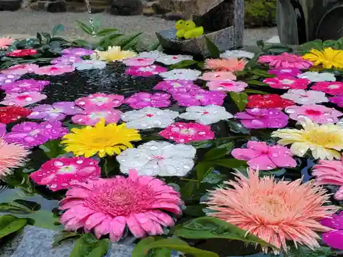 多聞寺の手水舎