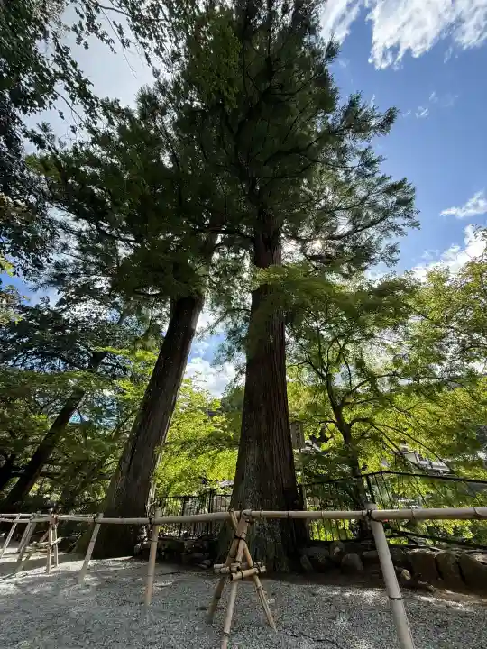 室生寺(奈良県)