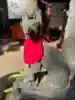 花園稲荷神社の狛犬