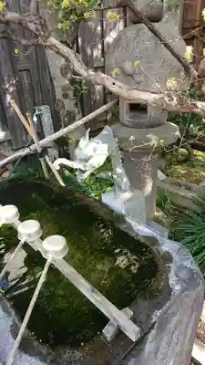 清林寺の手水舎