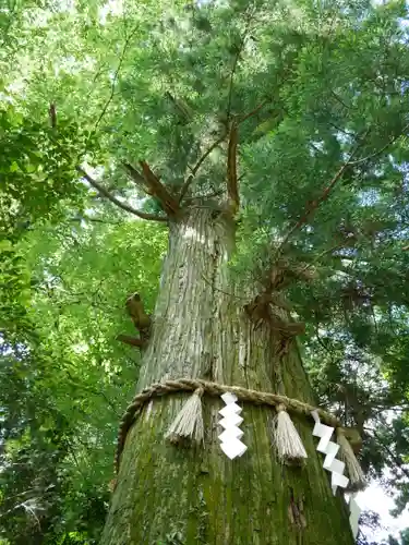 高尾山薬王院のその他建物