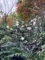 大山祇神社(福岡県)