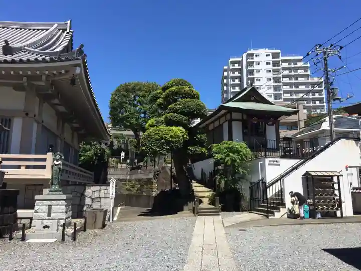 金乗院(目白不動尊)の本殿・本堂