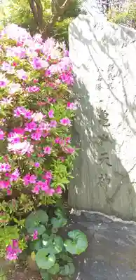 亀戸天神社のその他建物