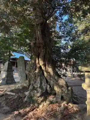 木内大神(千葉県)