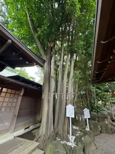 検見川神社(千葉県)