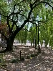 常陸第三宮　吉田神社の自然