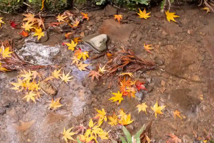 小國神社(静岡県)