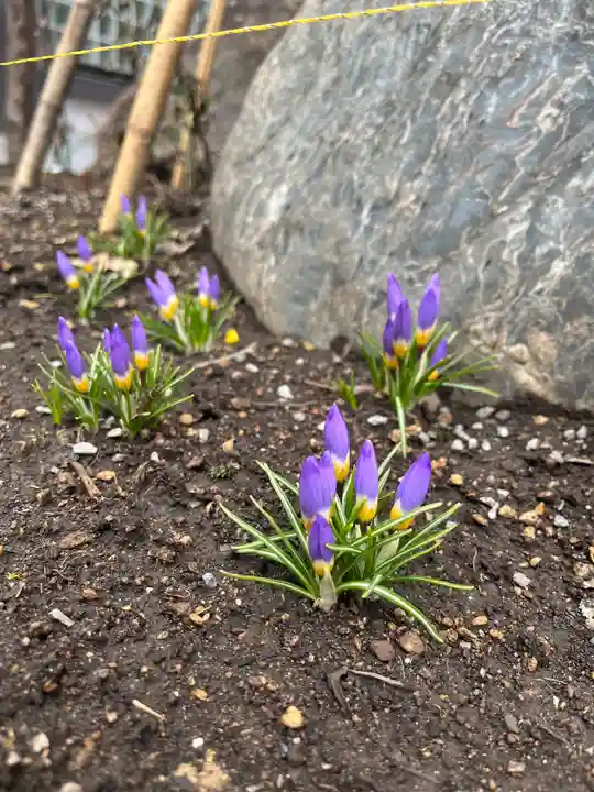 宝壽山 吉祥院の自然