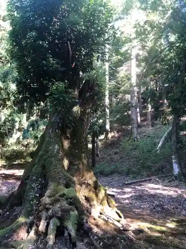 多田神社の自然