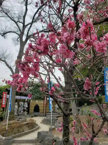 中野沼袋氷川神社(東京都)