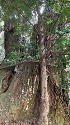高岡神社(岡山県)