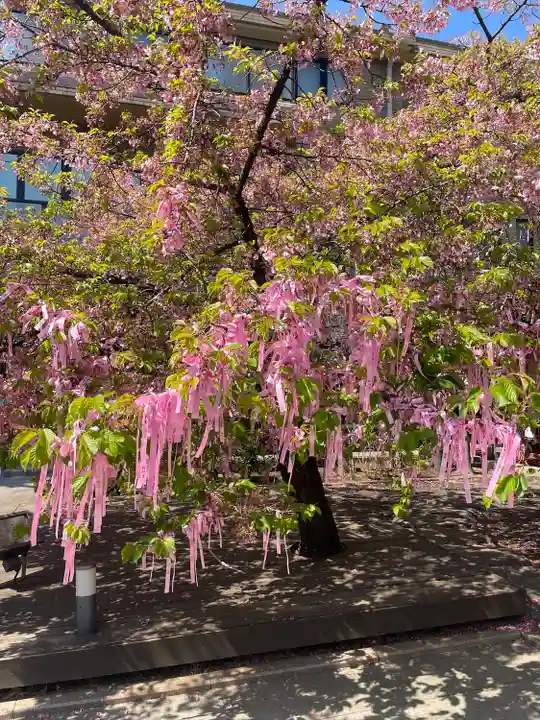 桜神宮(東京都)